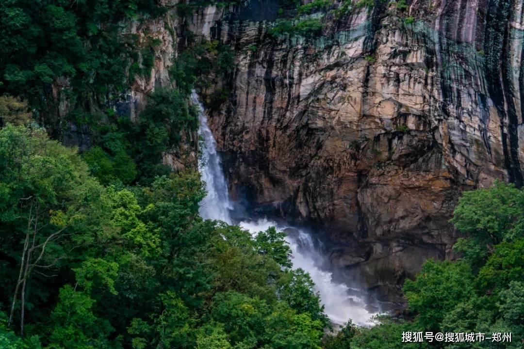 滚动的奶酪